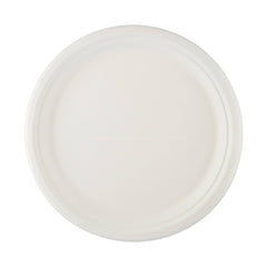 Bio-Degradable Plate 10 Inch 500 Pieces - Hotpack Global