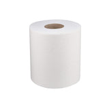 Soft N Cool Paper Maxi Roll Embossed Perforated 2 Ply 22 Gsm 900 Gram 6 Pieces