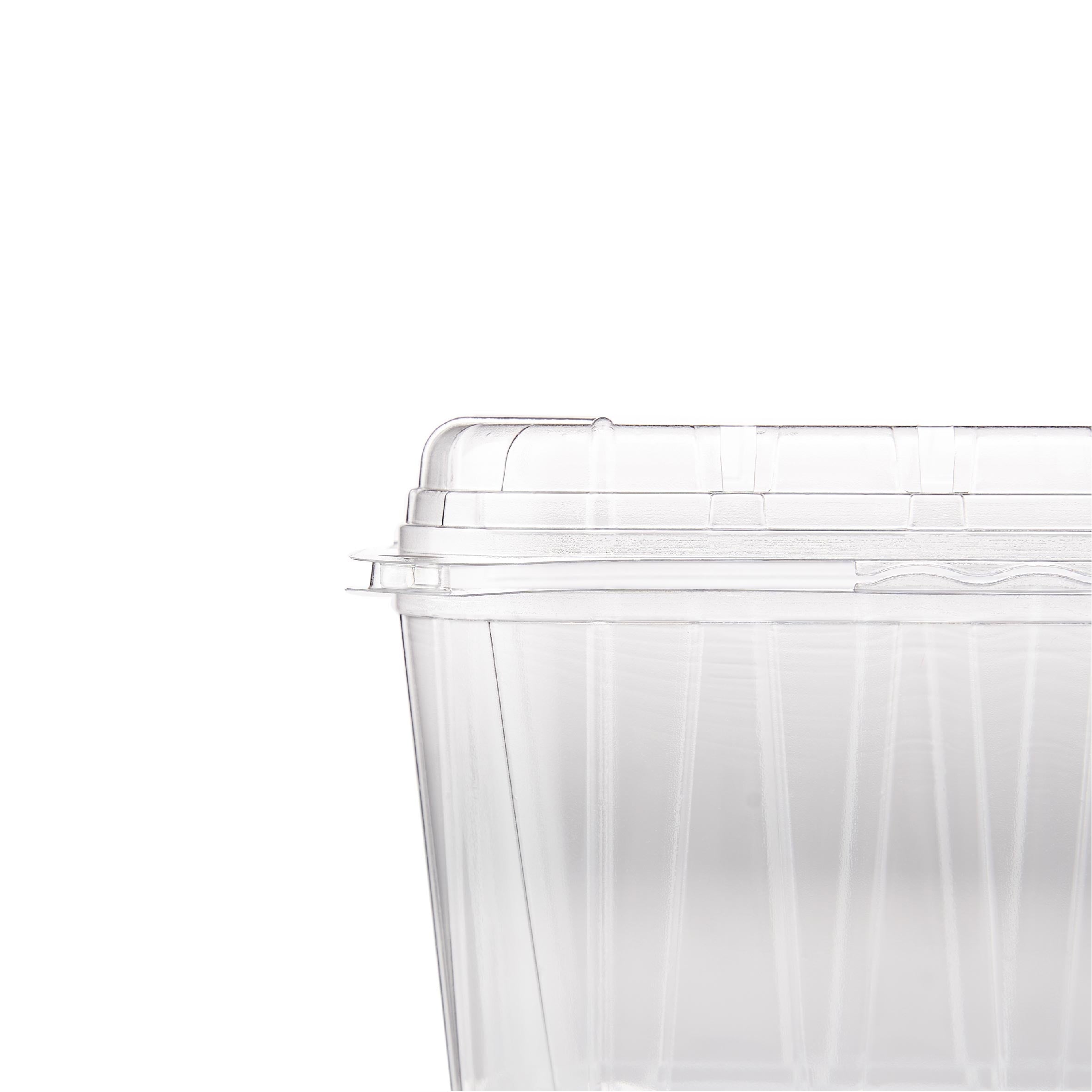 Clear PET Punnet Veg & Fruits Container - Hotpack Oman