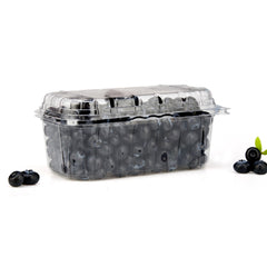 Clear PET Punnet Veg & Fruits Container - Hotpack Oman