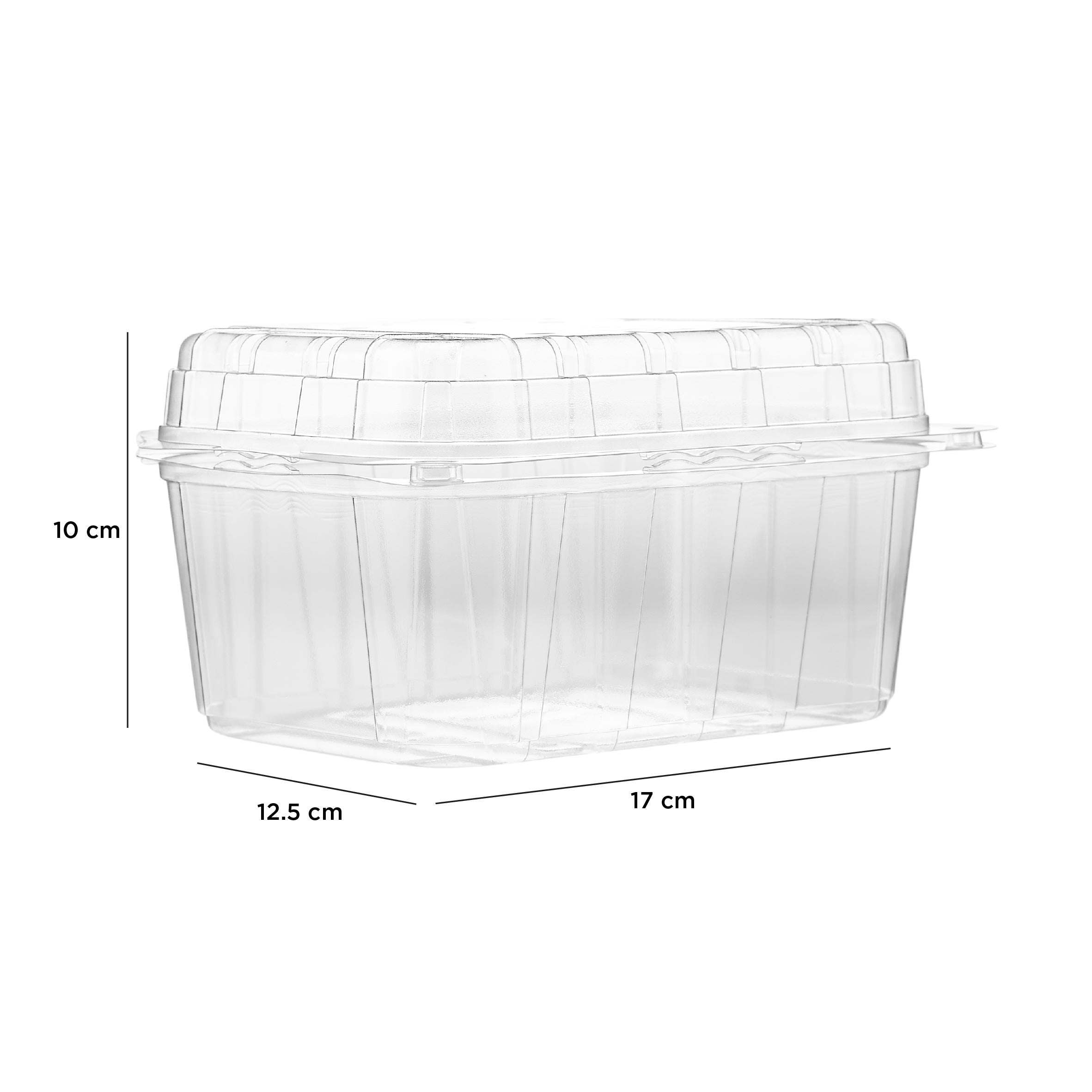 Clear PET Punnet Veg & Fruits Container - Hotpack Oman