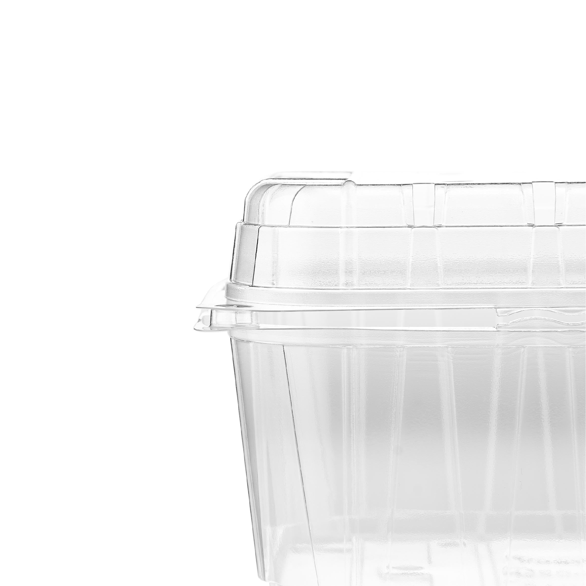 Clear PET Punnet Veg & Fruits Container - Hotpack Oman