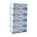 Soft N Cool Facial Tissue 2 Ply