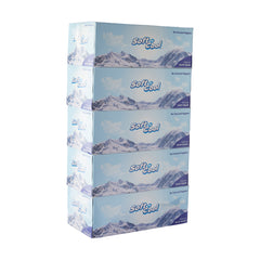 Soft N Cool Facial Tissue 2 Ply