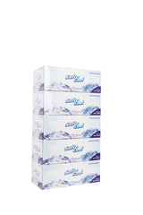 Soft N Cool Facial Tissue 2 Ply