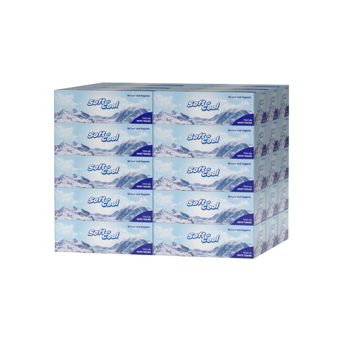 Soft N Cool Facial Tissue 2 Ply